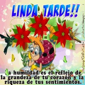 Meet your Posher, Llaniris